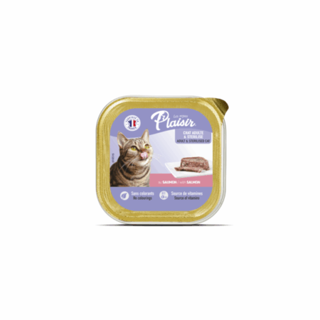 PLAISIR PATE SAUMON 100G RBARQUETTE