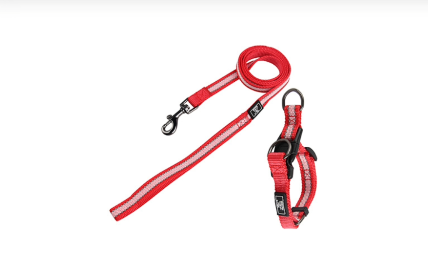 Kit Laisse et Collier pour chiens Réfléchissant