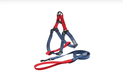 Kit Laisse et Harnais pour chiens