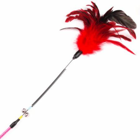 Canne à pêche Plumes à ressort