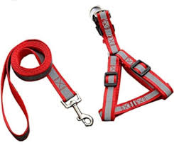 Kit Laisse et Harnais Réfléchissant pour chiens