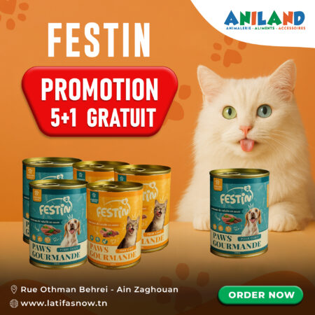 Festin pow cat or dog 5+1