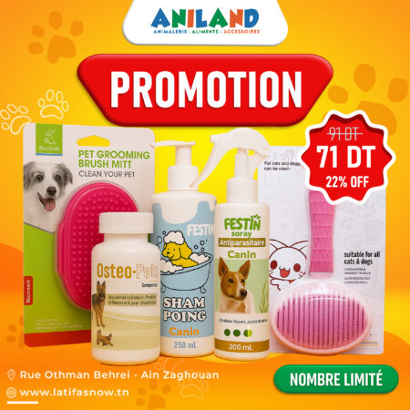 Pack Grooming & Mobility Dog