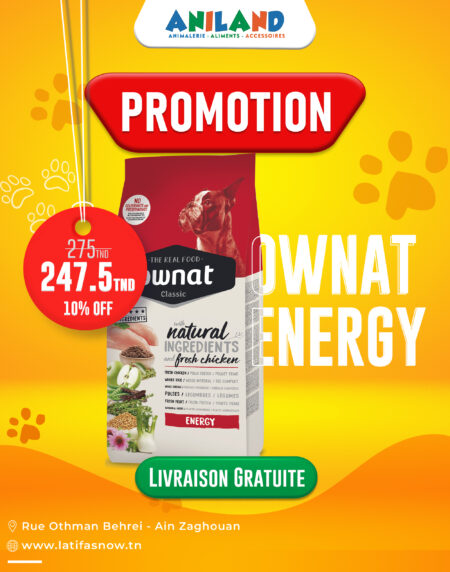 Spécial Ownat Energy