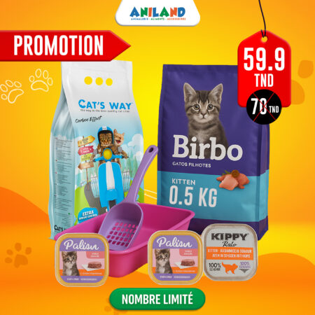 Pack Spécial Chaton Catsway M