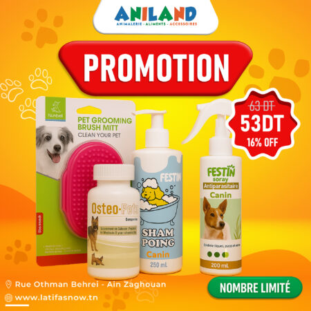 Pack Grooming & Mobility Dog