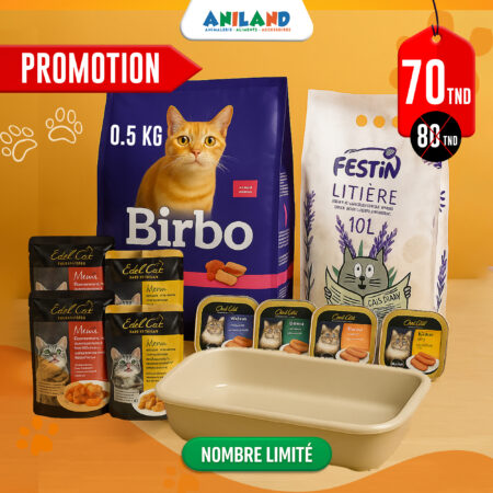 Pack Complet Chat Adulte 2