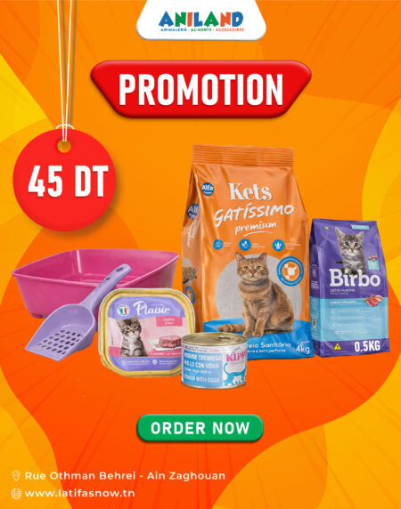 🐱 Pack Chaton Départ Idéal