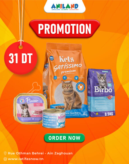 🐱 Pack Chaton Nutrition Essentielle