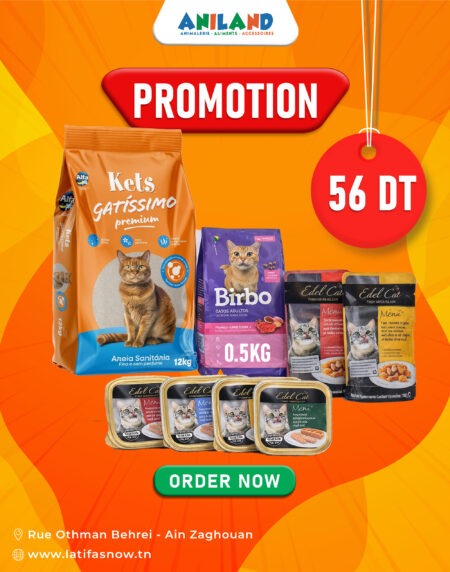 🐱 Pack Adulte Essentiel