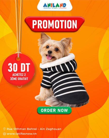 Pull d’Hiver pour Chien en Promotion