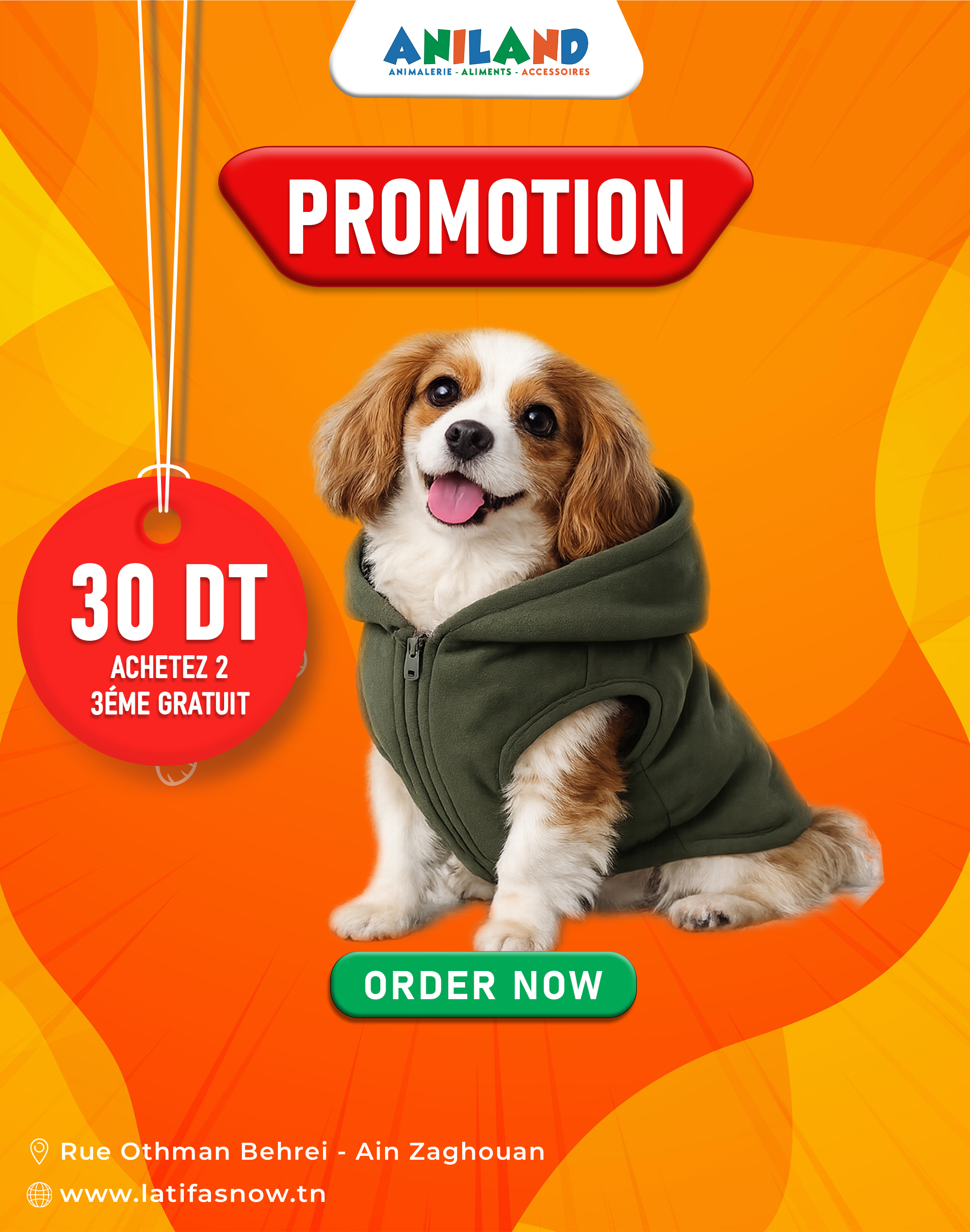 Sweat à Capuche Vert pour Chien avec Fermeture Zippée – Vêtement d’Hiver Confortable