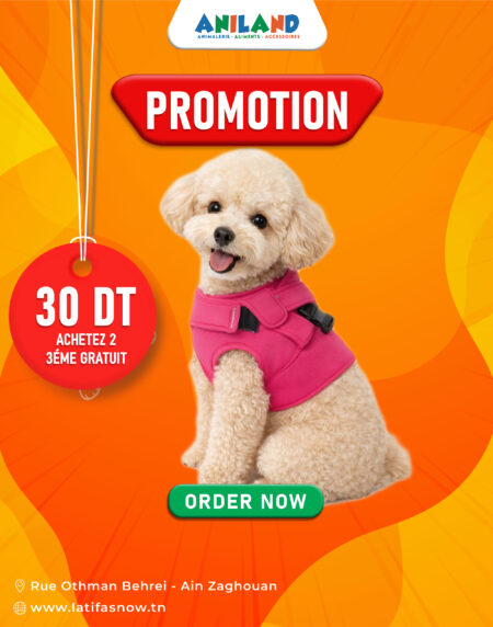 Gilet Rose pour Chien avec Attache Harnais – Vêtement Confortable et Pratique