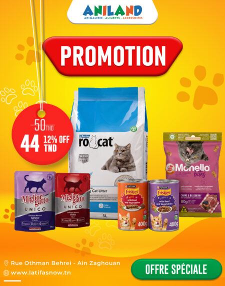 🐱 Pack Chat Premium
